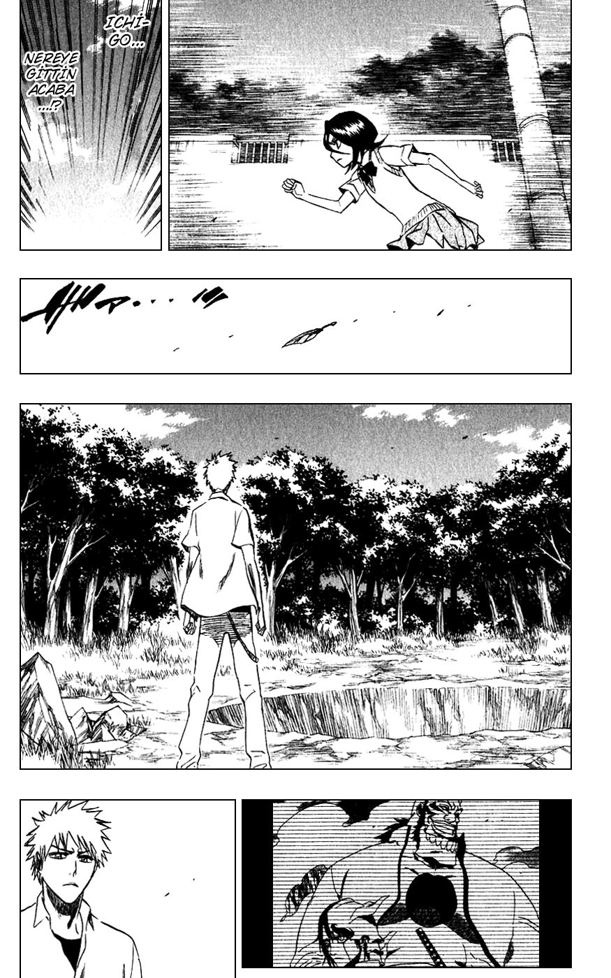 Read Bleach TR Manga Online