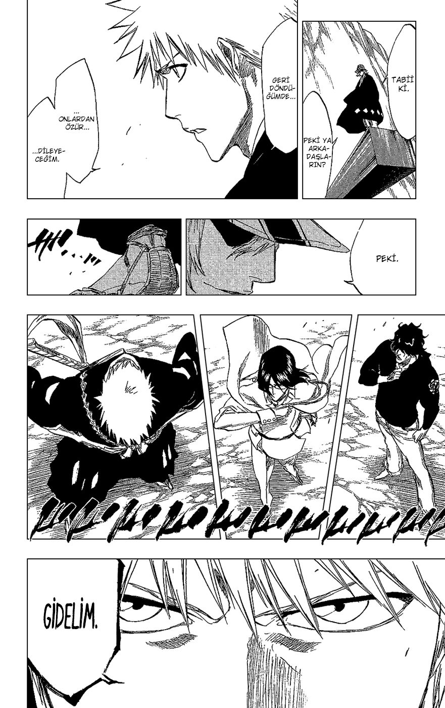 Read Bleach TR Manga Online