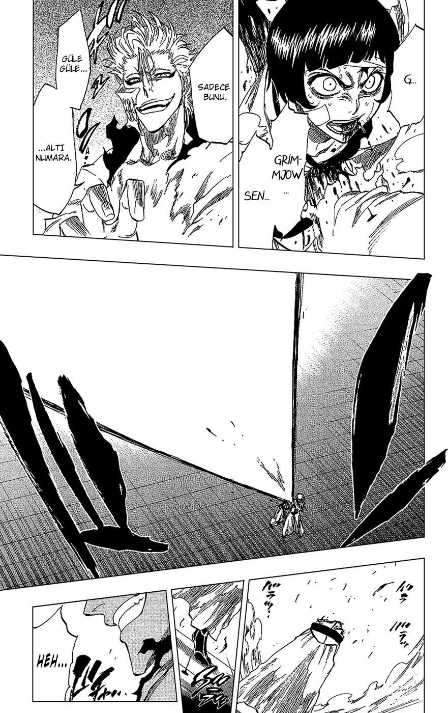 Read Bleach TR Manga Online