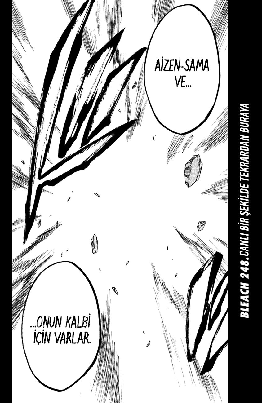 Read Bleach TR Manga Online