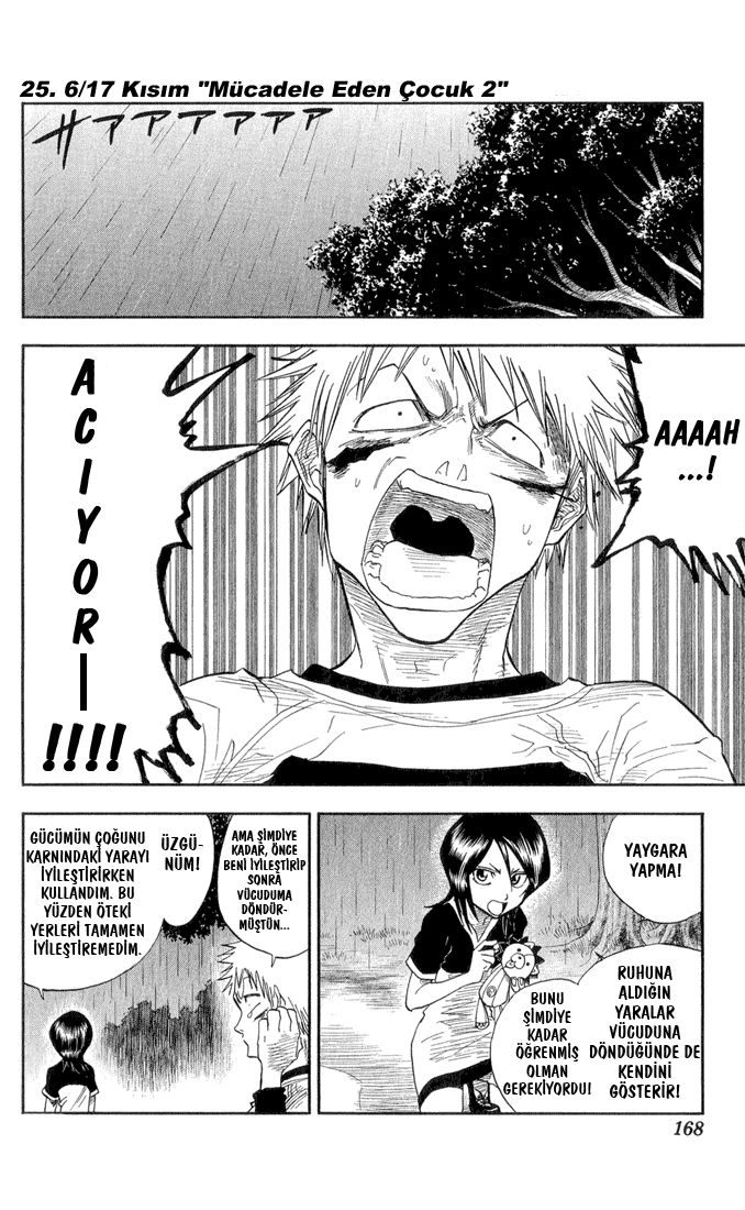 Read Bleach TR Manga Online