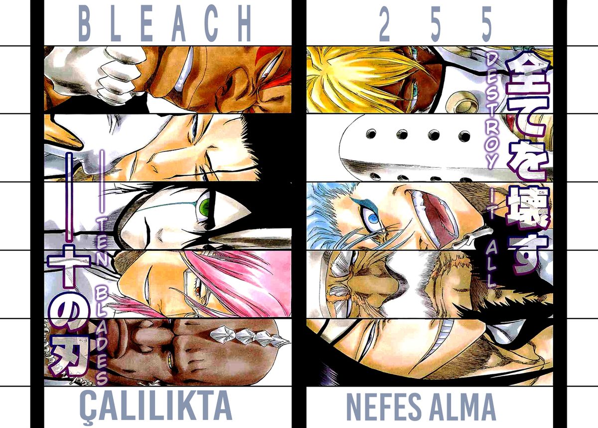 Read Bleach TR Manga Online