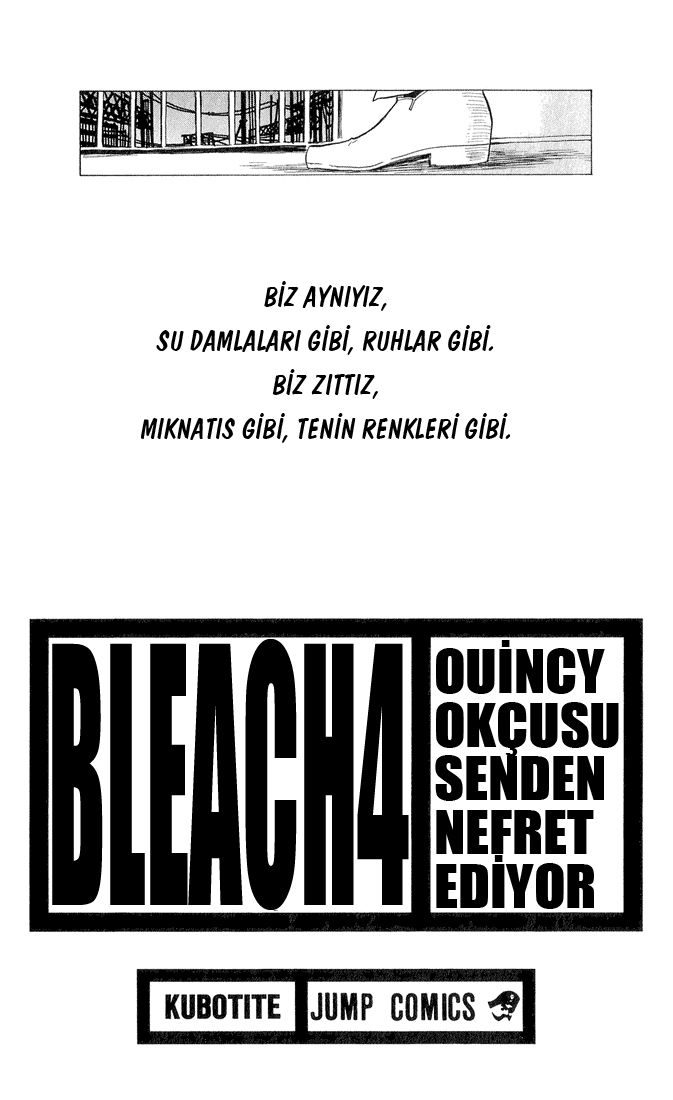 Read Bleach TR Manga Online