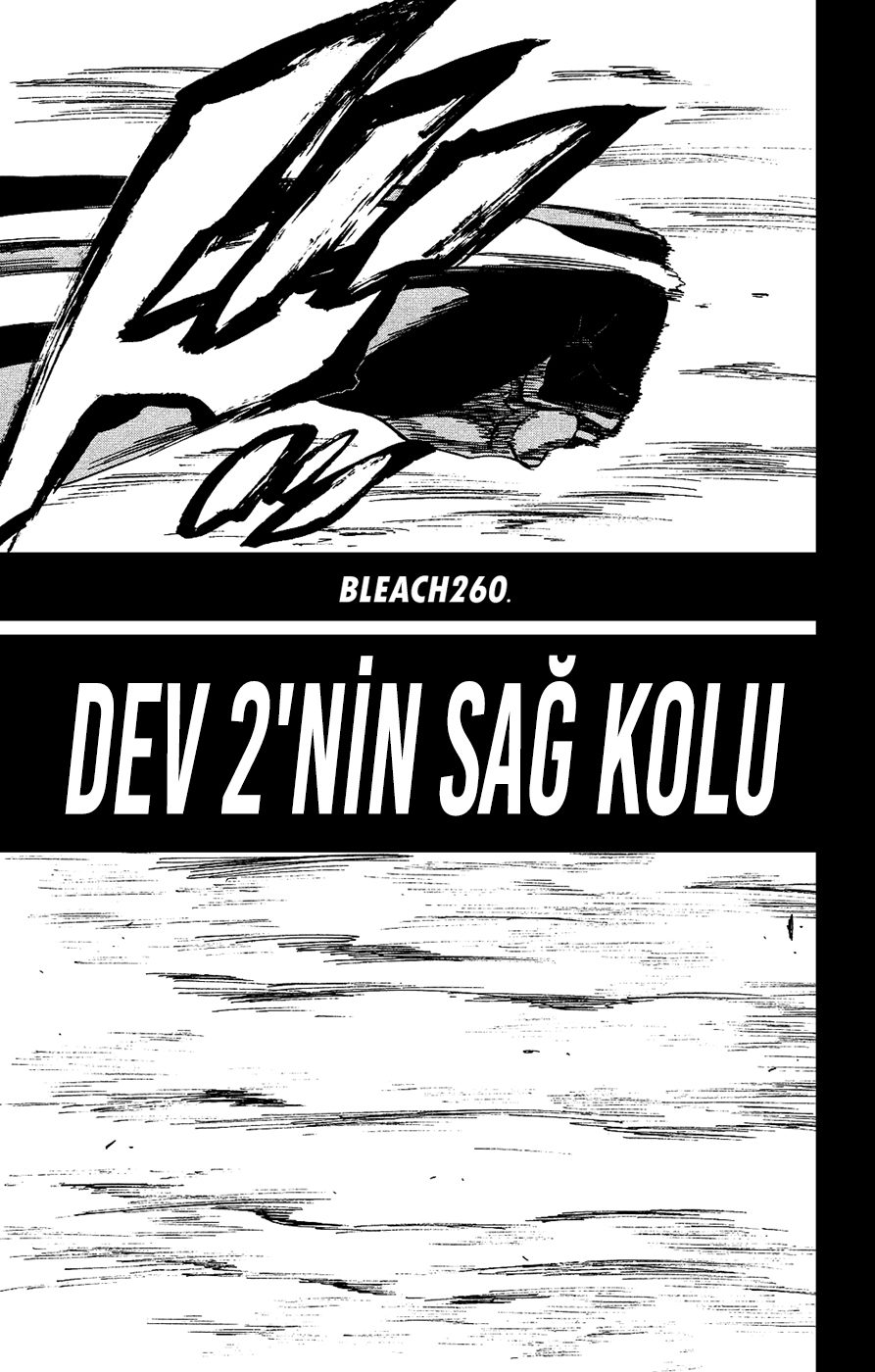 Read Bleach TR Manga Online