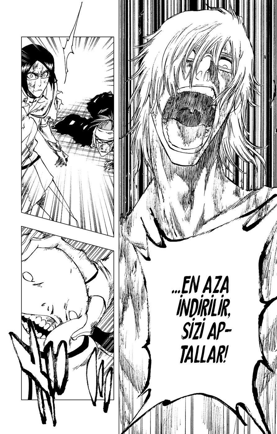 Read Bleach TR Manga Online