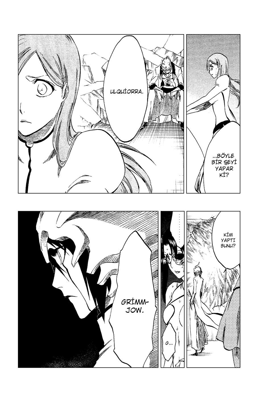 Read Bleach TR Manga Online