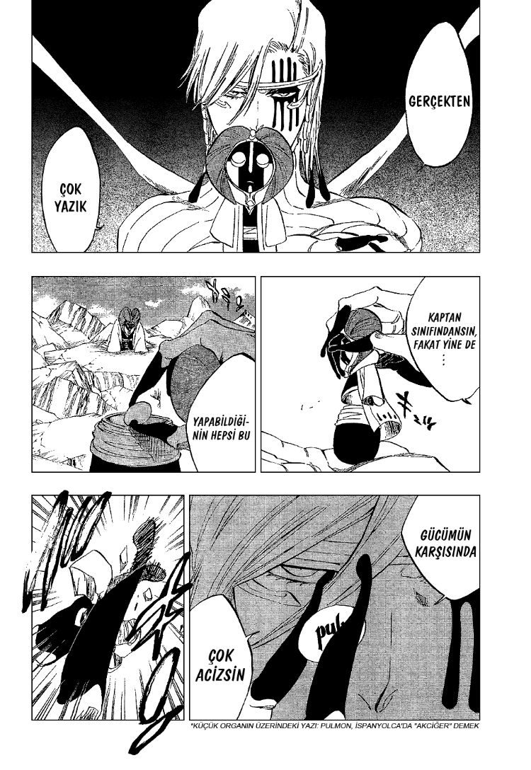 Read Bleach TR Manga Online