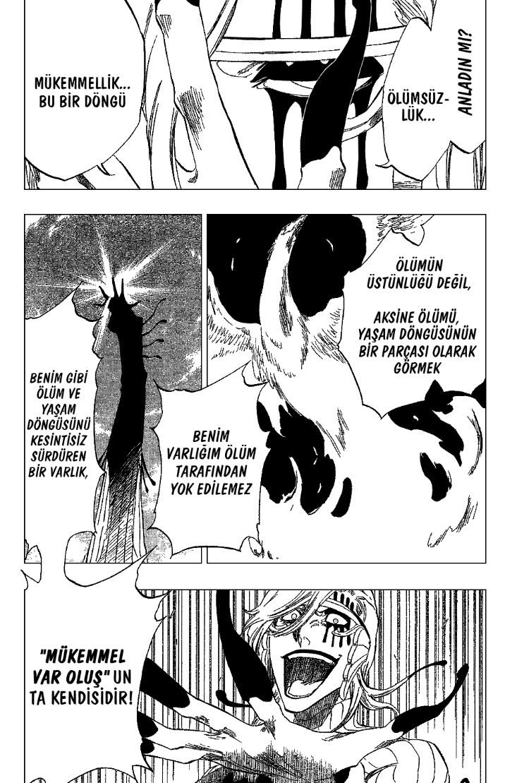 Read Bleach TR Manga Online