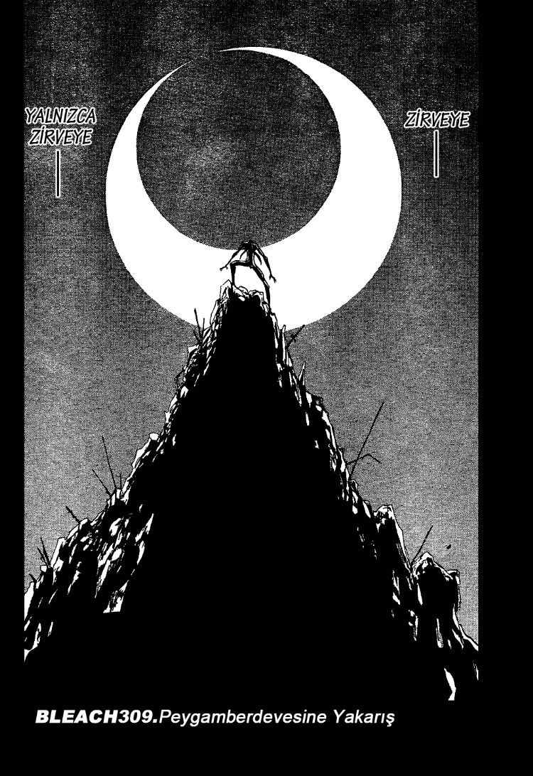 Read Bleach TR Manga Online
