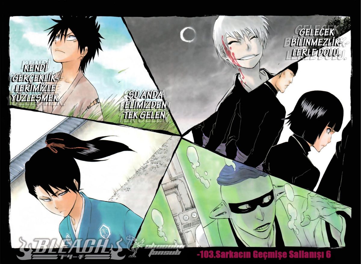 Read Bleach TR Manga Online