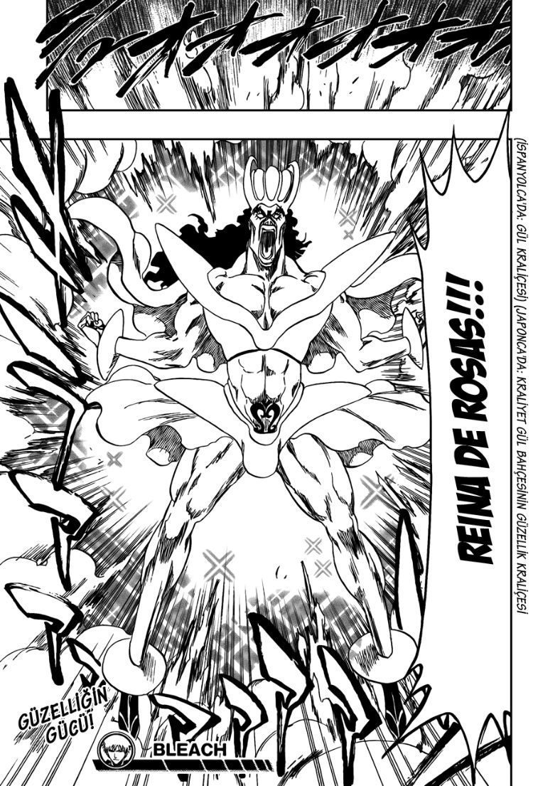 Read Bleach TR Manga Online