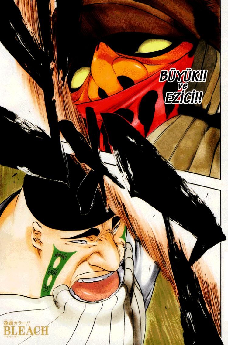Read Bleach TR Manga Online