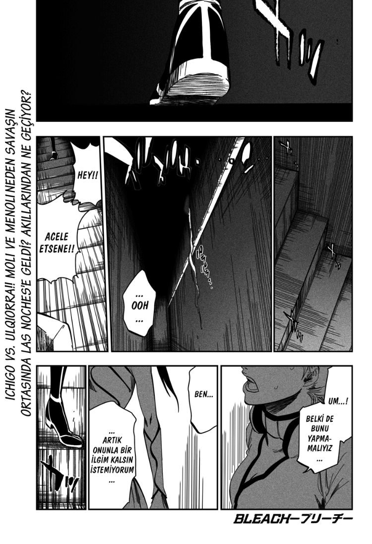 Read Bleach TR Manga Online