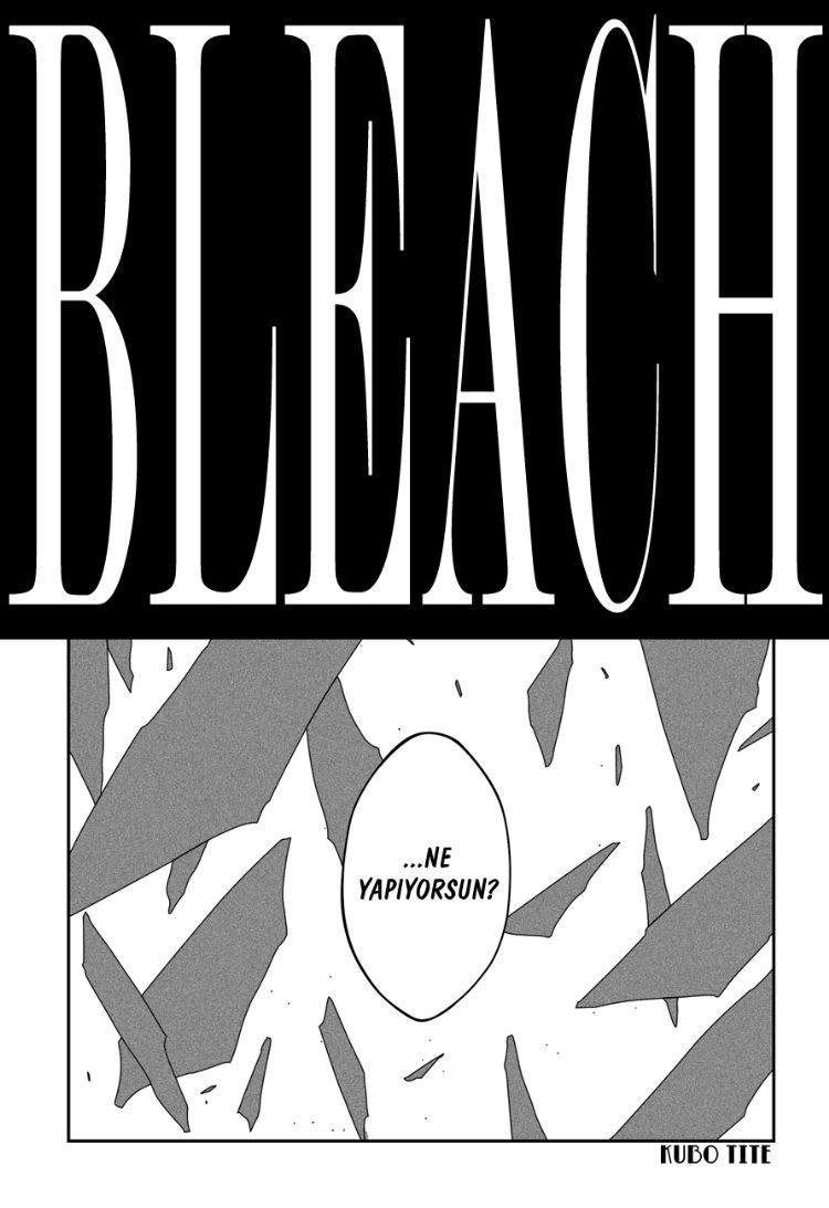 Read Bleach TR Manga Online