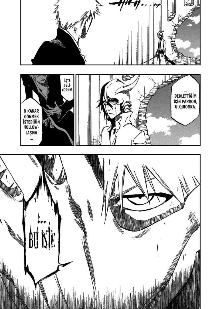 Read Bleach TR Manga Online