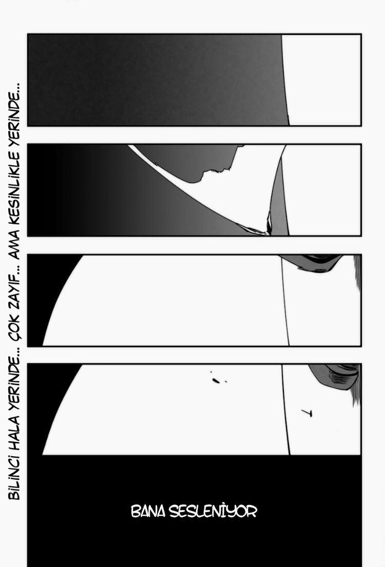 Read Bleach TR Manga Online