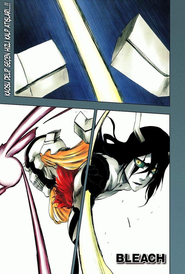 Read Bleach TR Manga Online