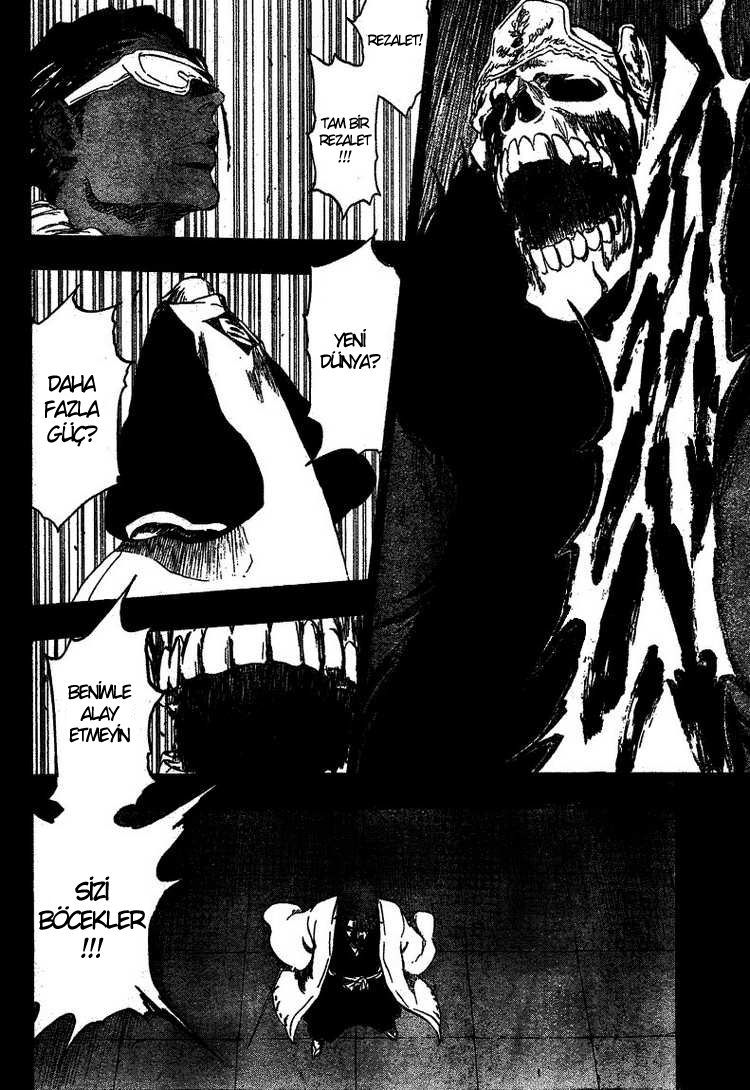 Read Bleach TR Manga Online
