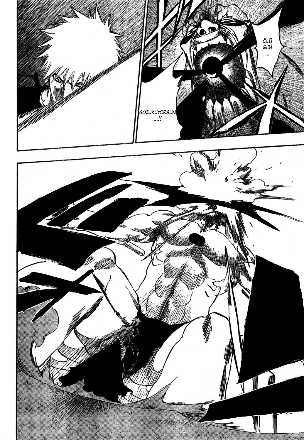 Read Bleach TR Manga Online
