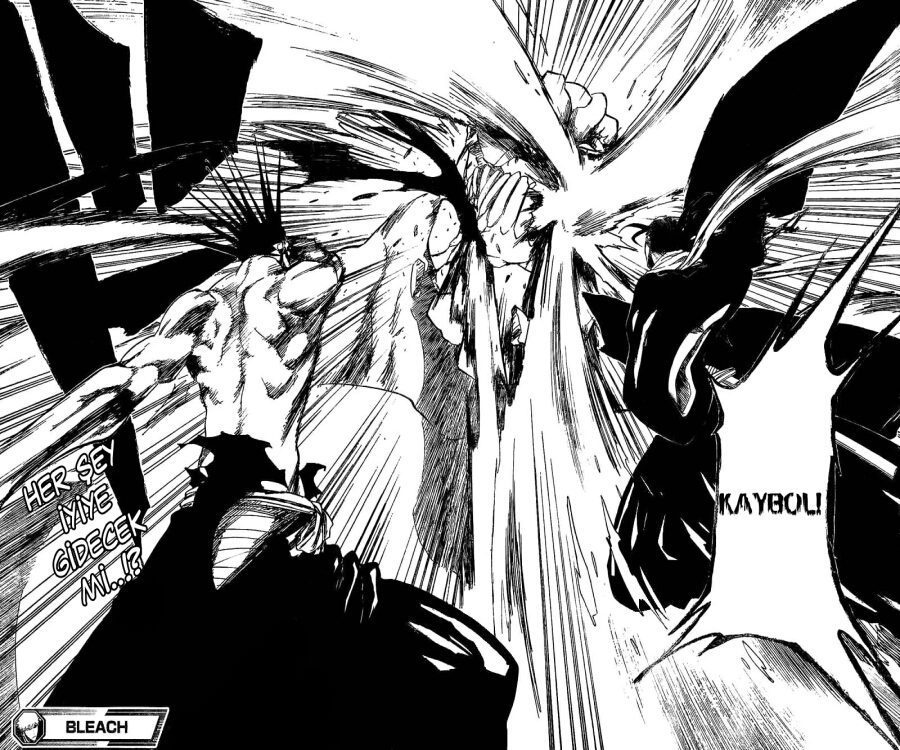 Read Bleach TR Manga Online