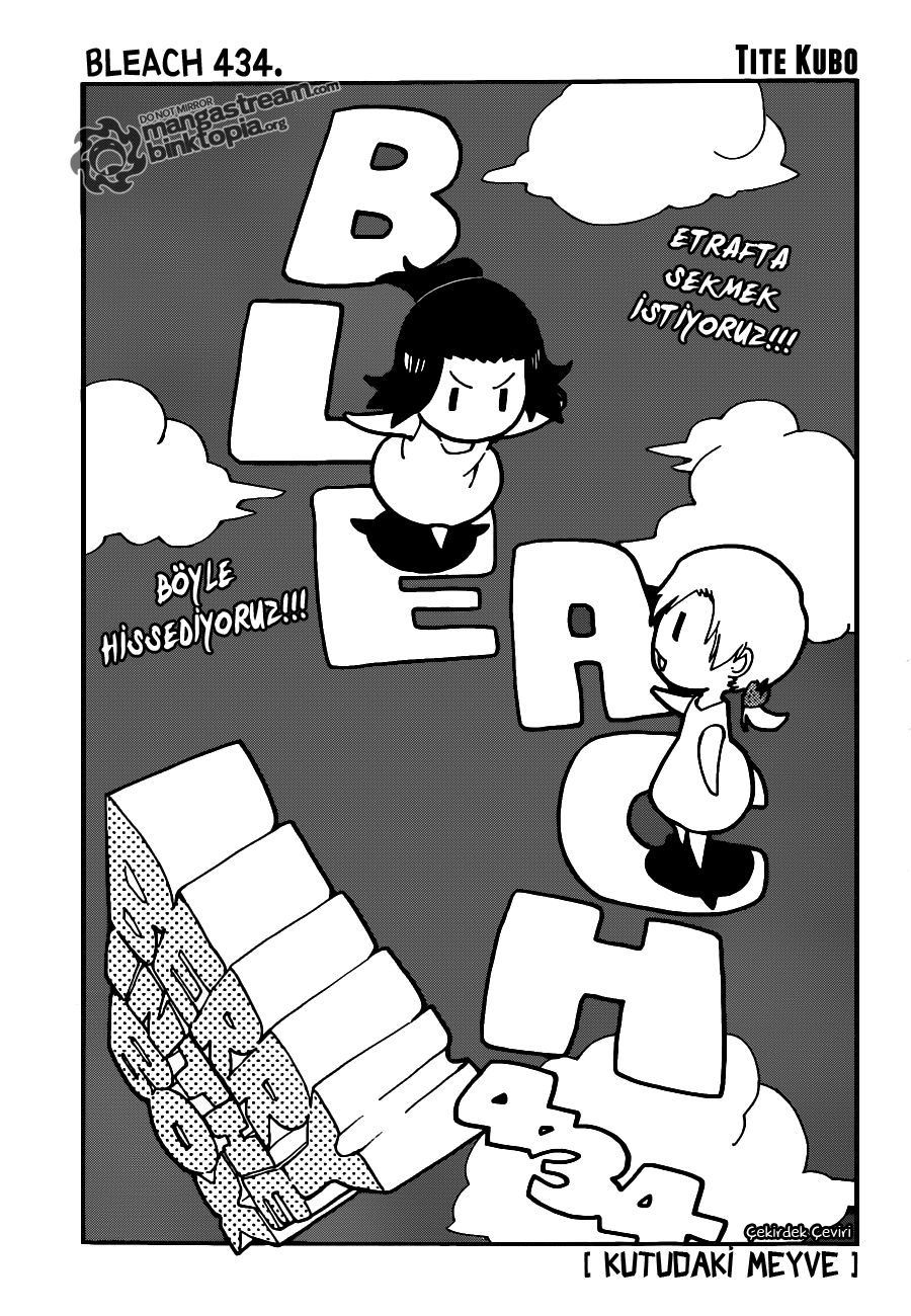 Read Bleach TR Manga Online