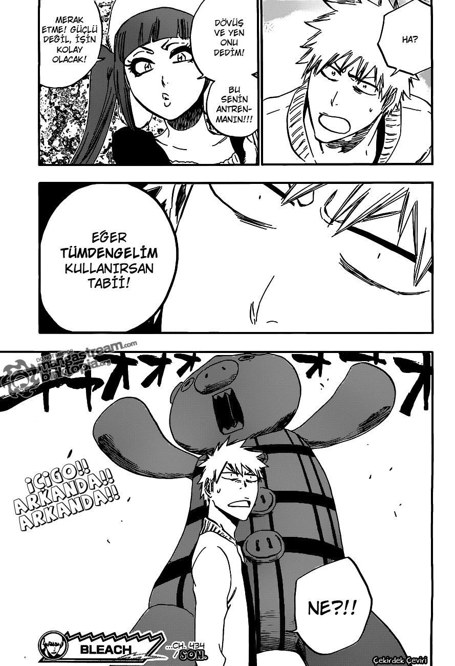 Read Bleach TR Manga Online