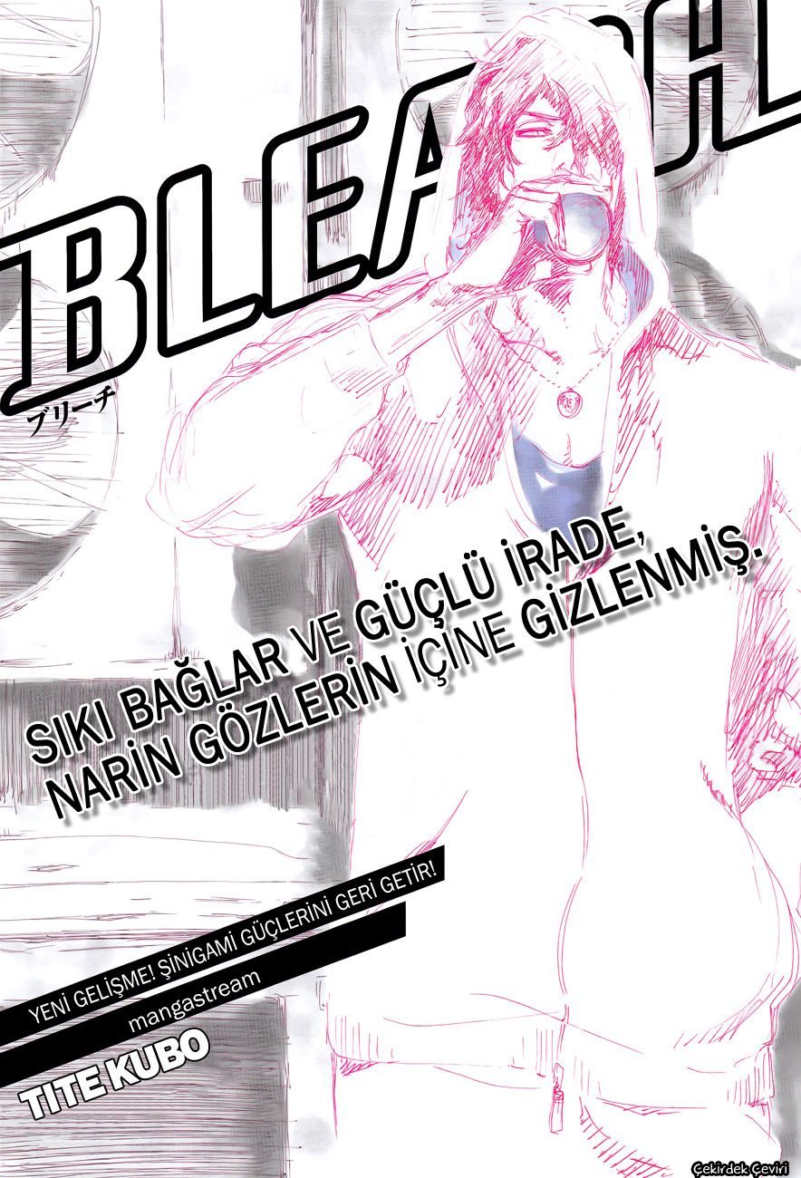 Read Bleach TR Manga Online
