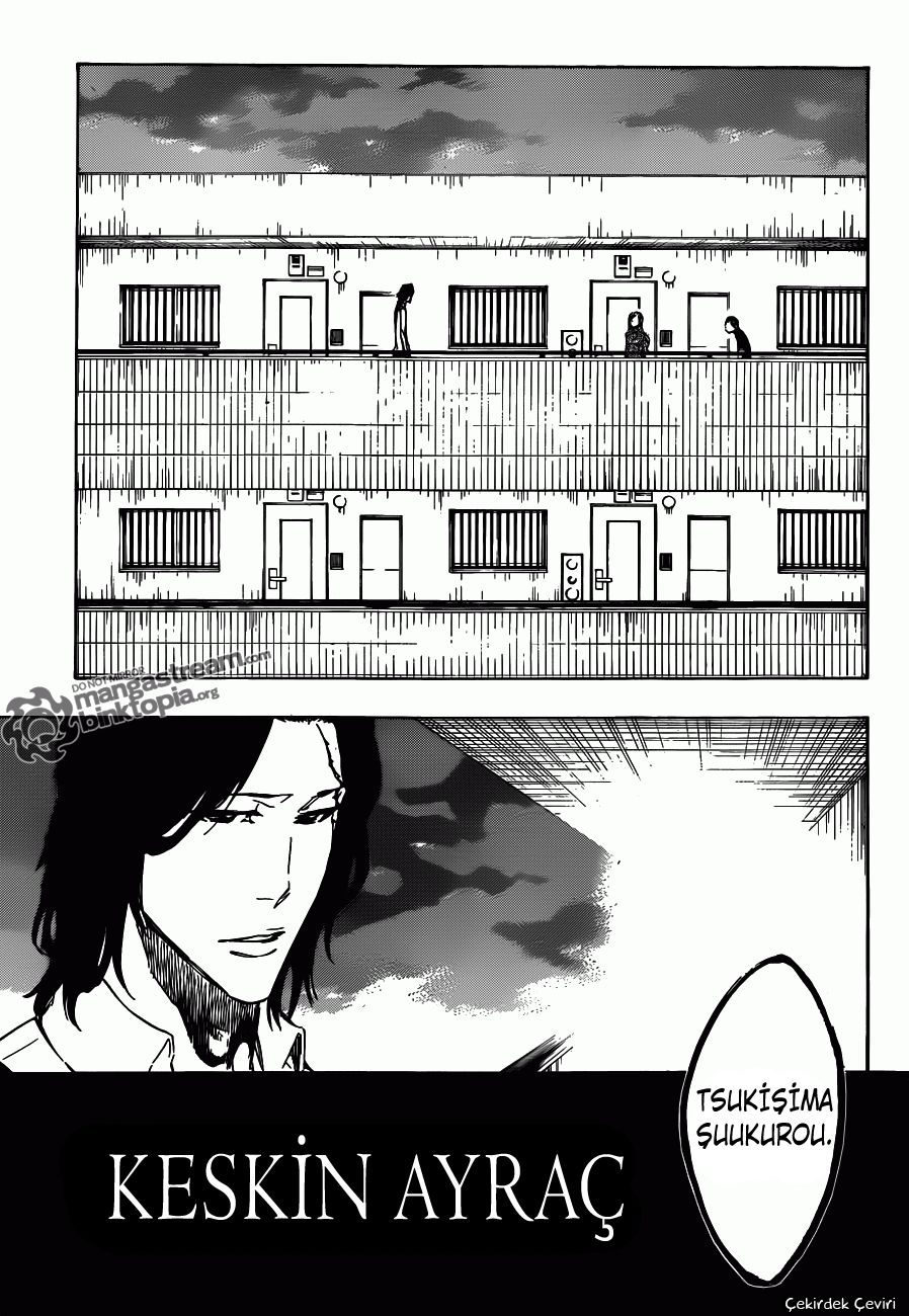 Read Bleach TR Manga Online