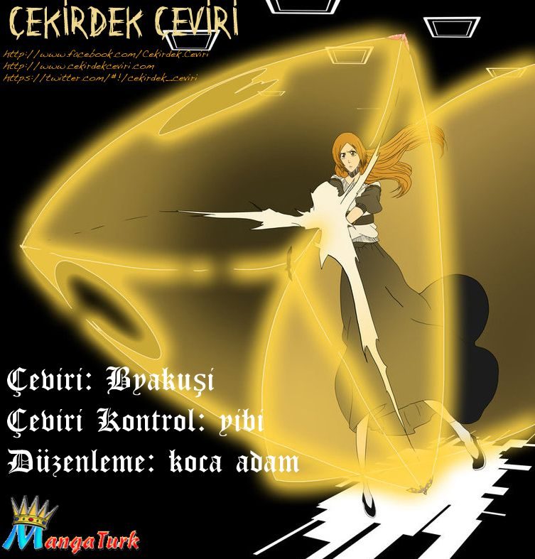 Read Bleach TR Manga Online