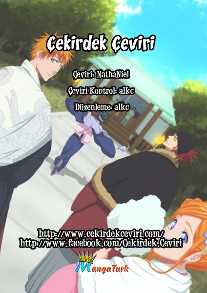 Read Bleach TR Manga Online