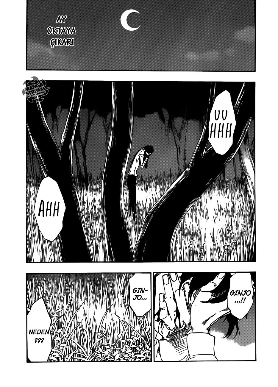 Read Bleach TR Manga Online
