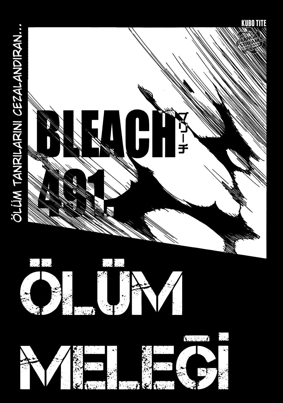 Read Bleach TR Manga Online