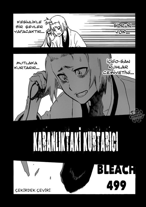 Read Bleach TR Manga Online