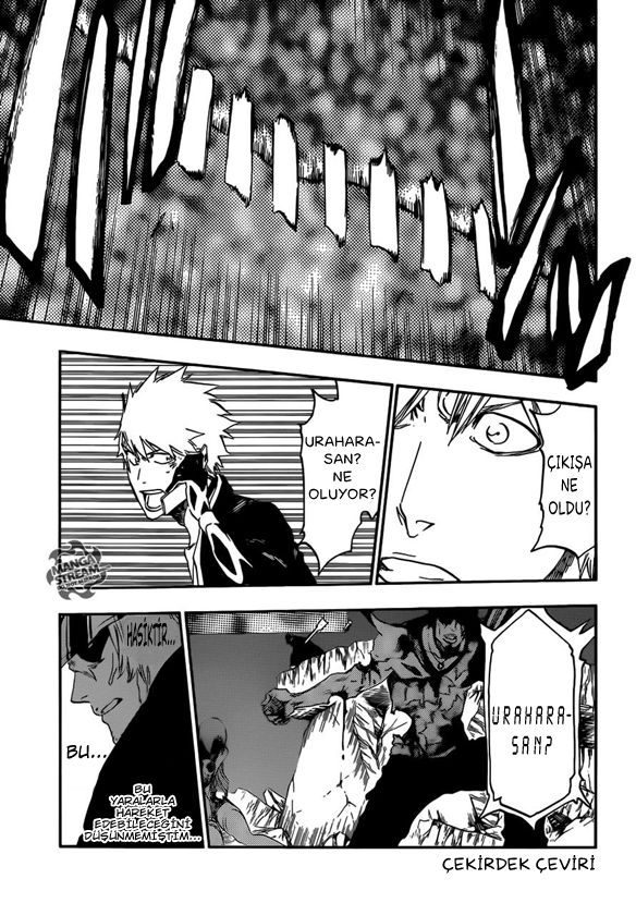 Read Bleach TR Manga Online