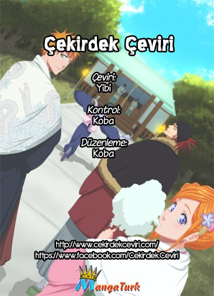 Read Bleach TR Manga Online