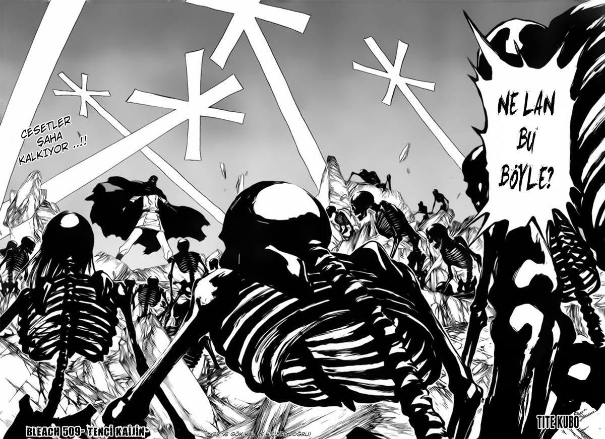 Read Bleach TR Manga Online