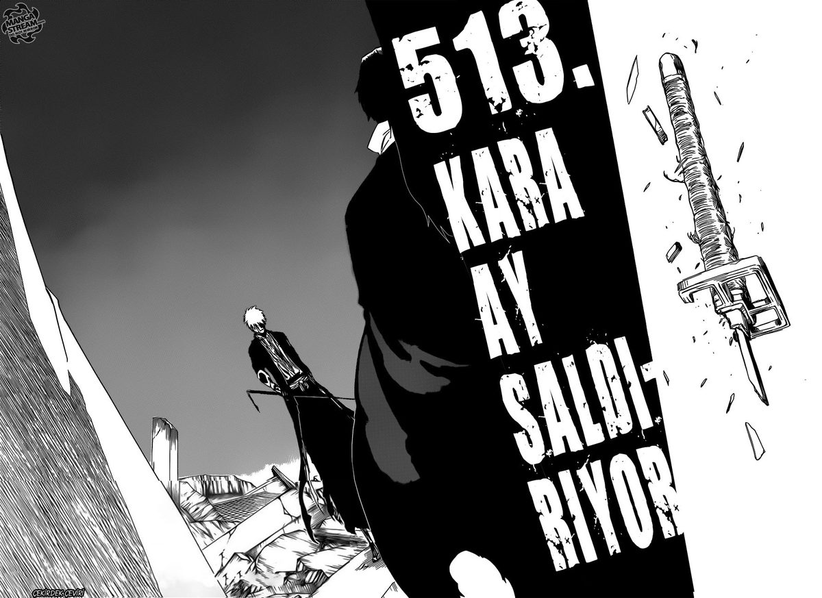 Read Bleach TR Manga Online