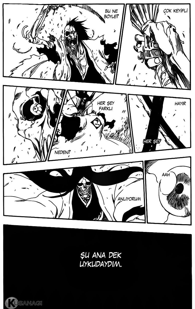 Read Bleach TR Manga Online