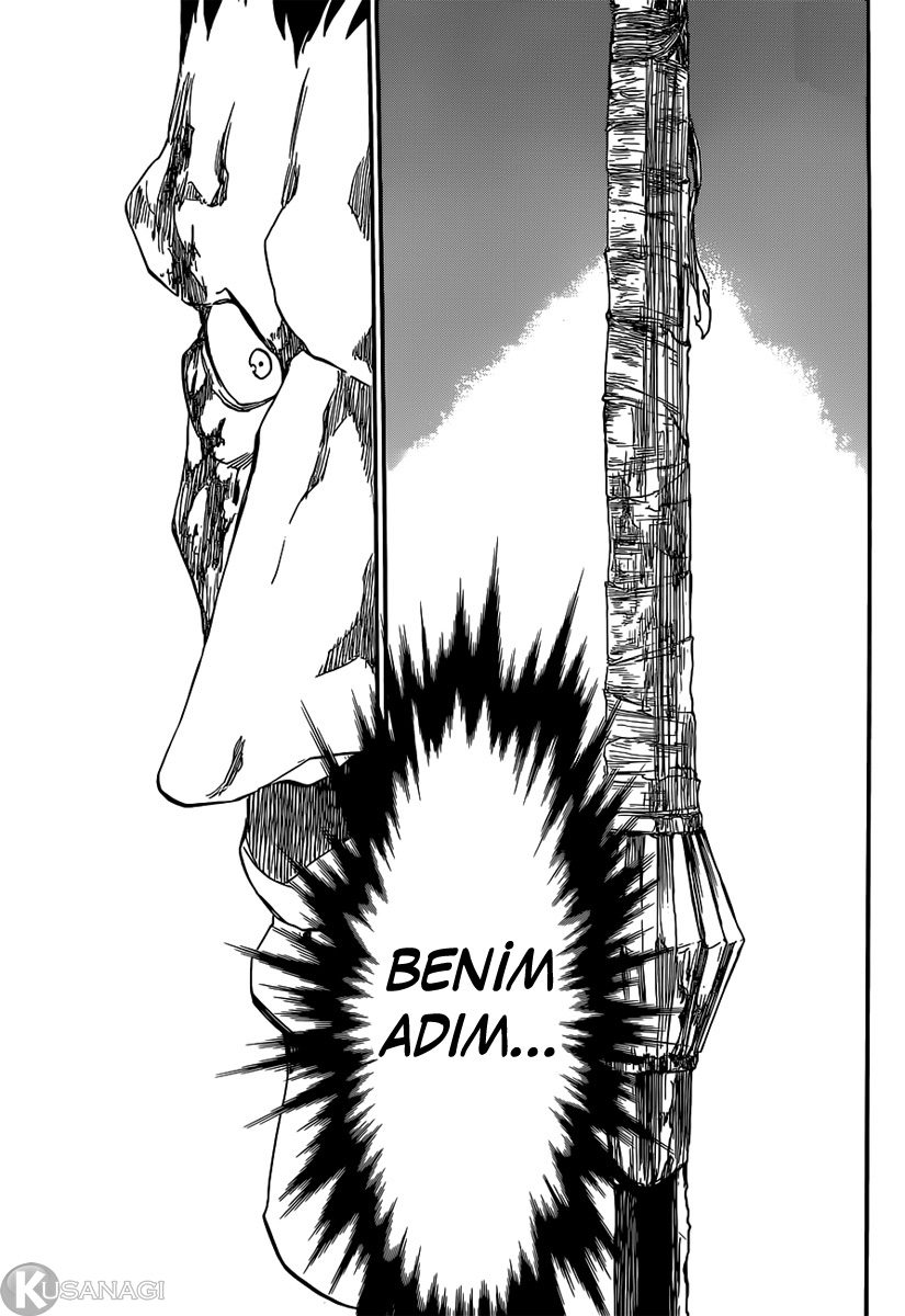 Read Bleach TR Manga Online