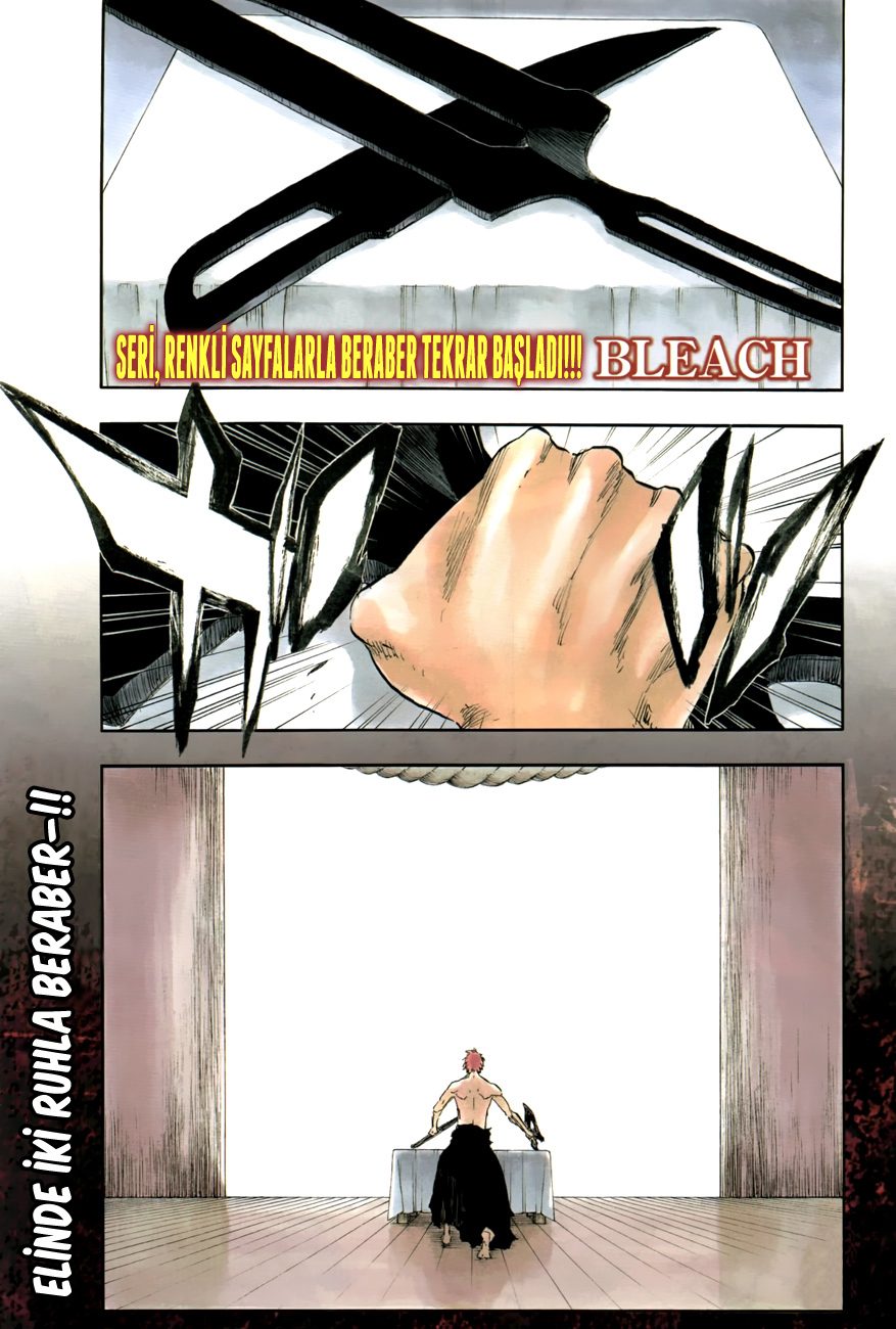 Read Bleach TR Manga Online