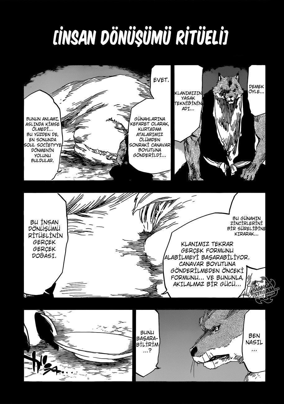 Read Bleach TR Manga Online