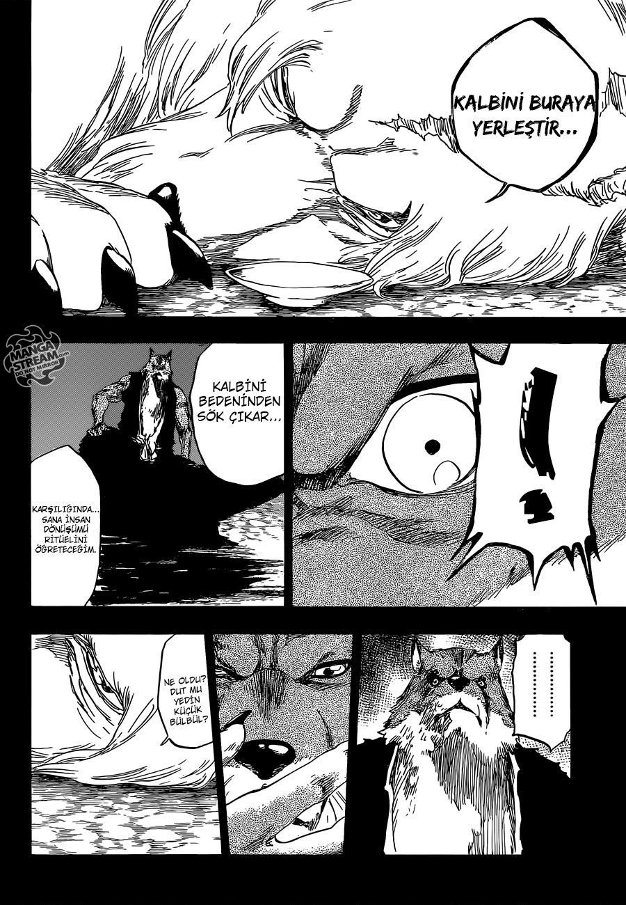 Read Bleach TR Manga Online