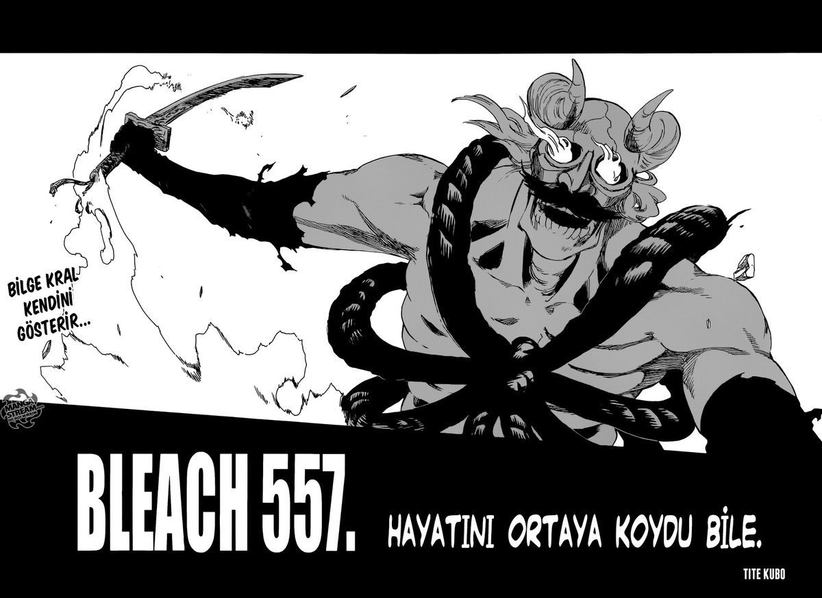 Read Bleach TR Manga Online