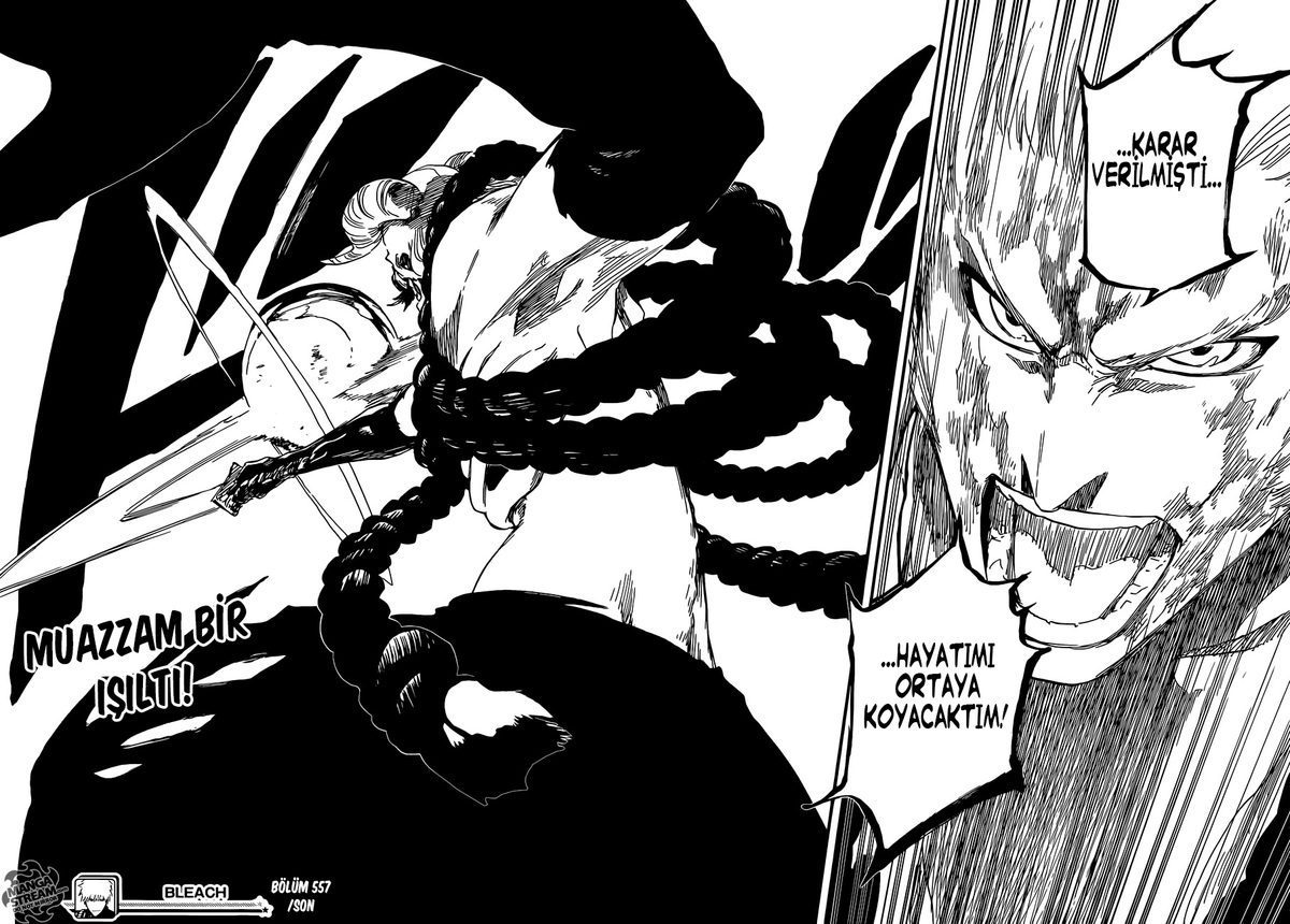 Read Bleach TR Manga Online