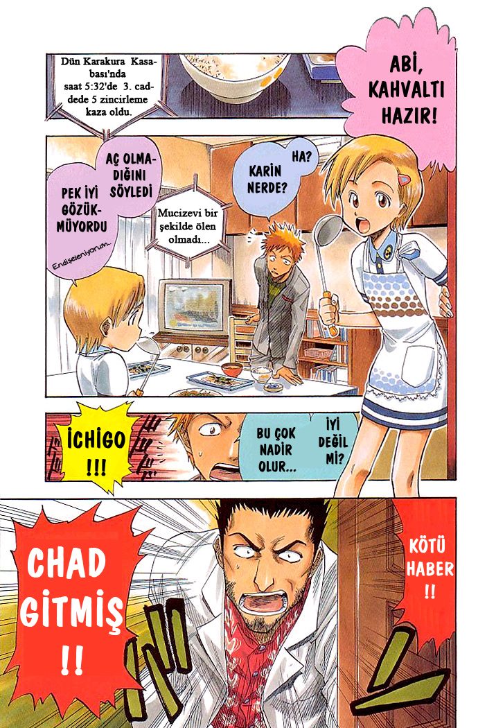 Read Bleach TR Manga Online