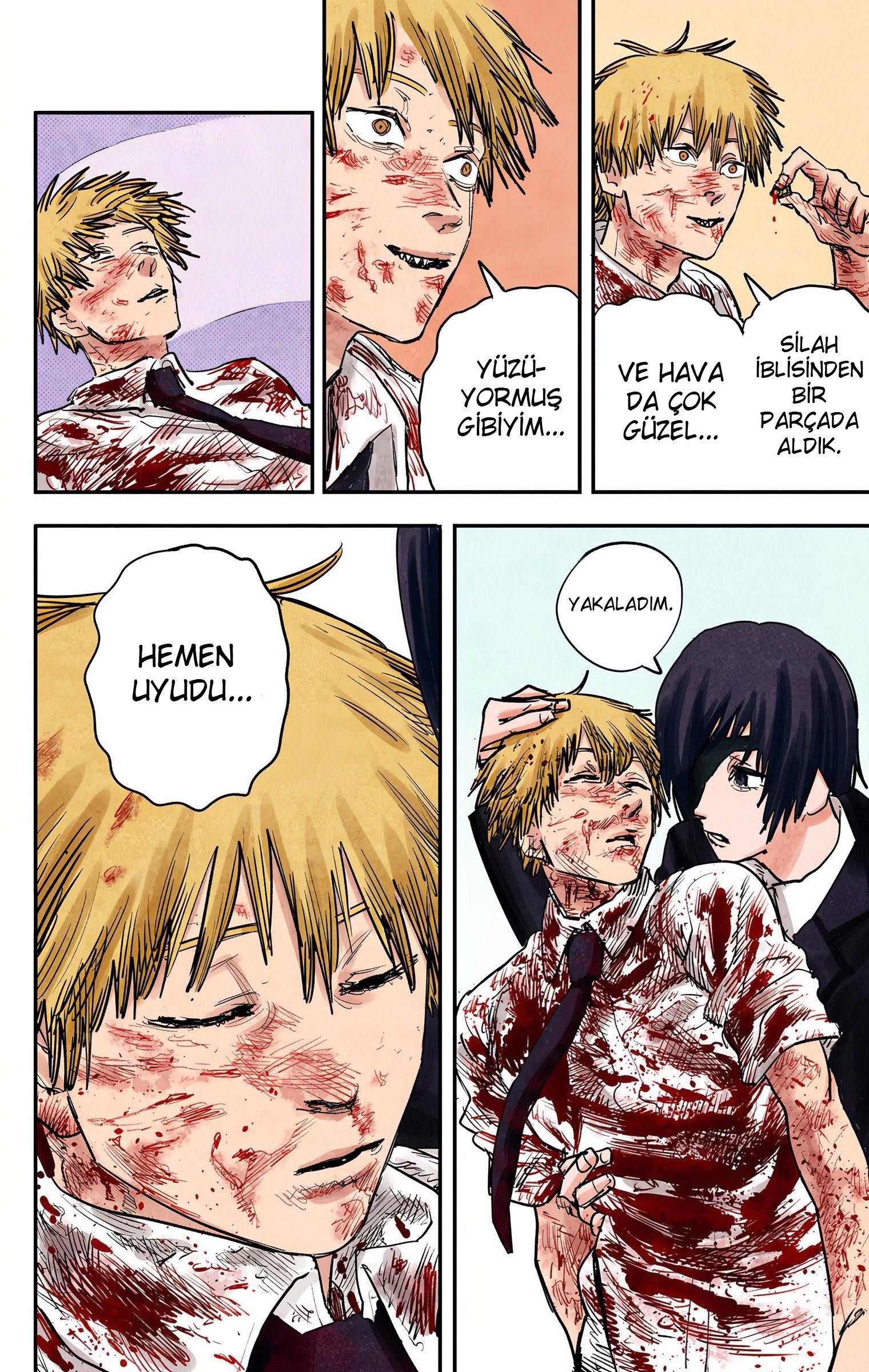 Read Chainsaw Man TR Manga Online
