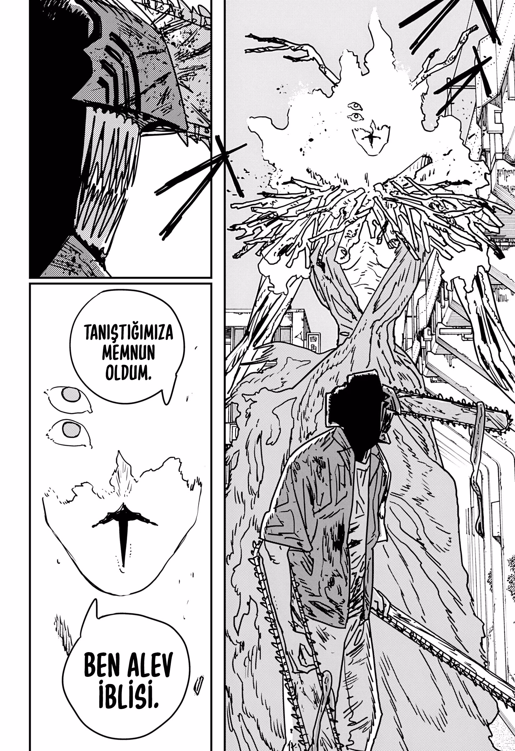 Read Chainsaw Man TR Manga Online