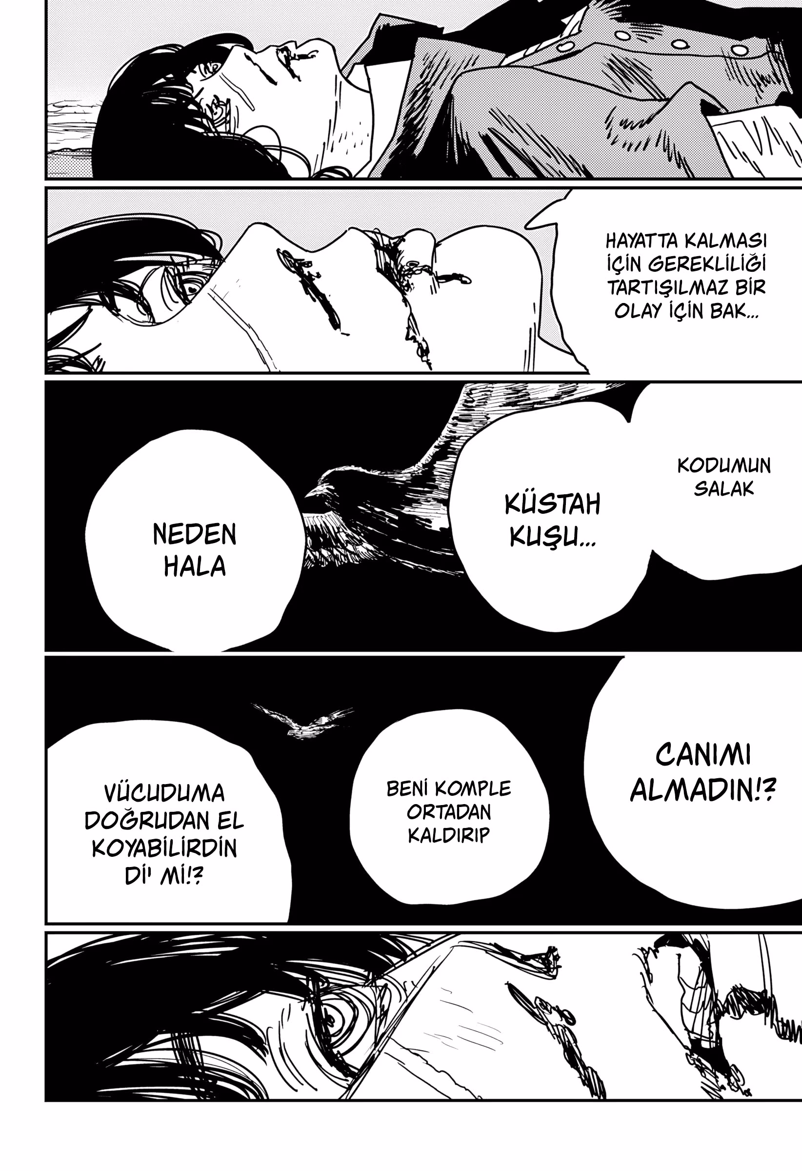 Read Chainsaw Man TR Manga Online