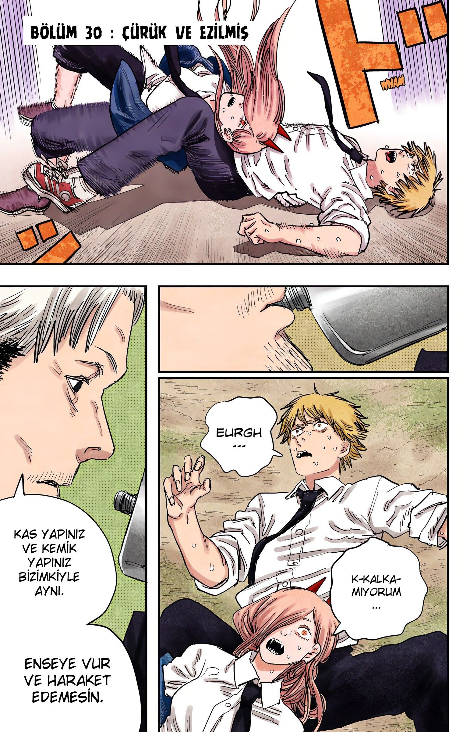 Read Chainsaw Man TR Manga Online