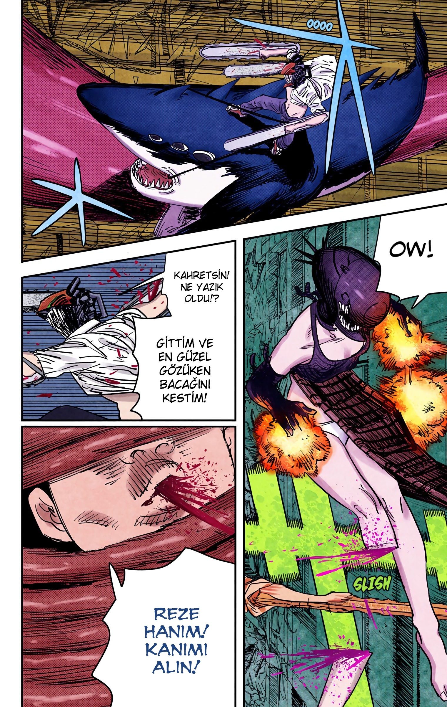 Read Chainsaw Man TR Manga Online